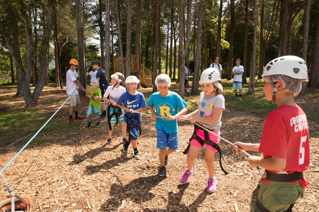 Image of SUSAN GOLDBERG CAMP
