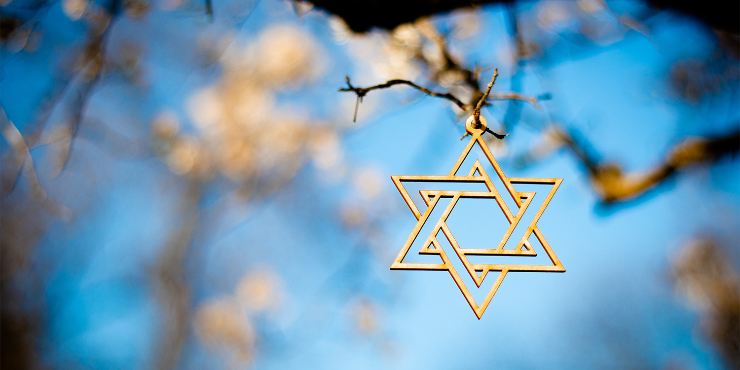 Image of Star of David Hanging from tree branch